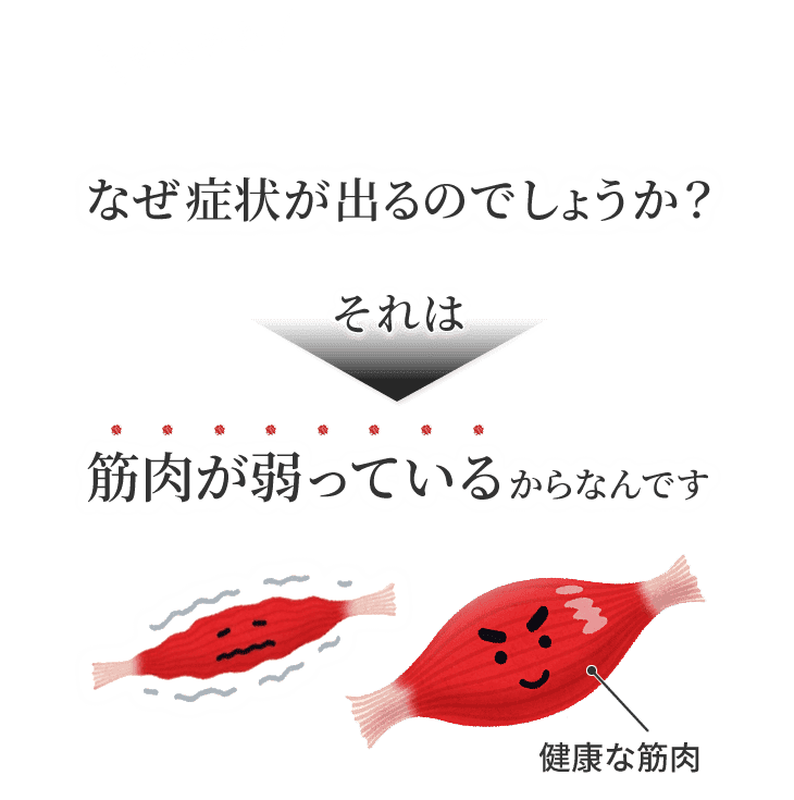 なぜ症状が出るのでしょうか?それは筋肉が弱っているからなんです